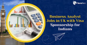 "Professional working on business analyst jobs report" 